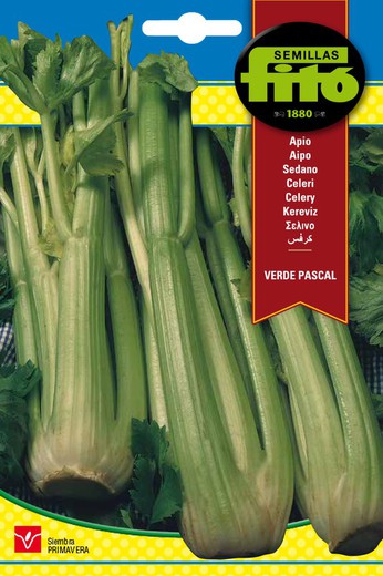 Pascal Green Celery Seeds de la marque Fito