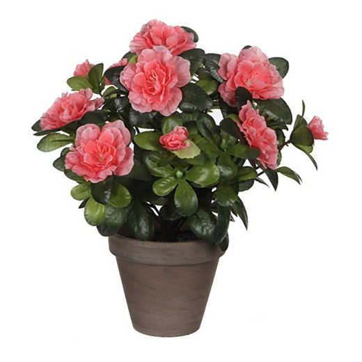 Pêssego Artificial Azalea Em Pote Cinzento Ø11,5cmx27xø20cm