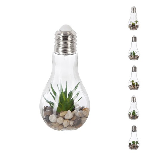 Ampoule Décorative 9x18,5cm Led Avec Pierres Et Plantes Modèles Assortis