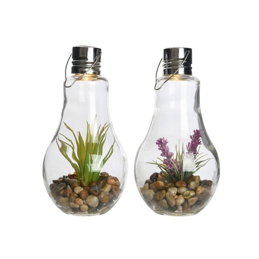 ampoule solaire avec plante