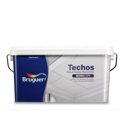 Br WP Teto Pintura 2,5L Bruguer