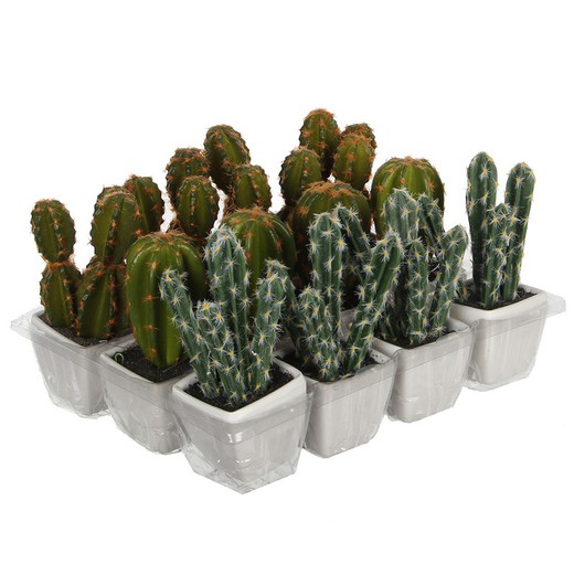 Cactus pvc 14cm assortiment 3