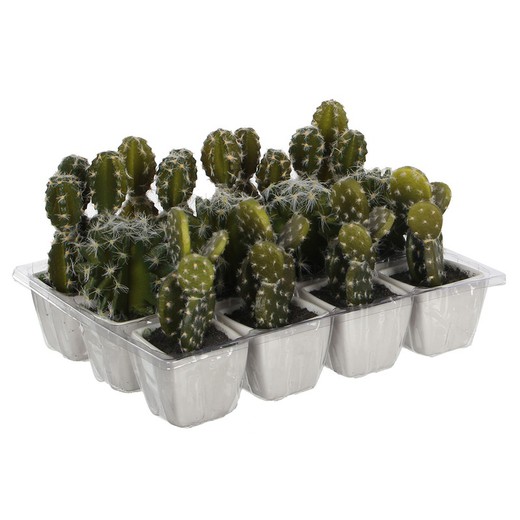 Cactus pvc 14cm surtido 3