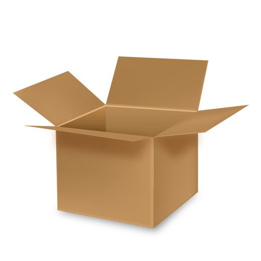 Boîte en carton polyvalente idéale pour les déménagements 49,5x30,5x31cm