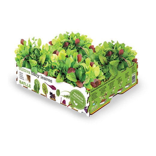 Caja ensaladas baby leaves batlle