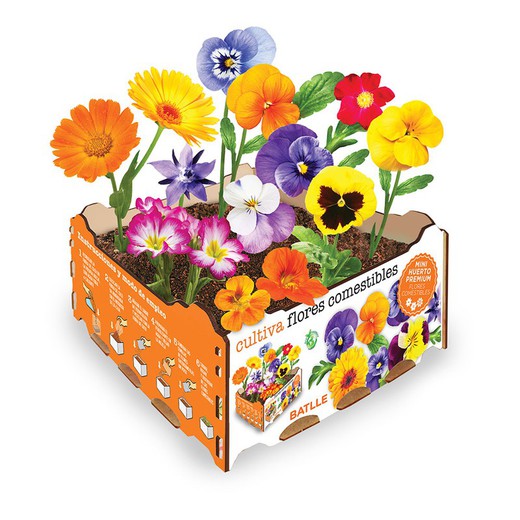 Caja flores comestibles batlle