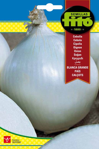 Big White Onion Seeds, marca country Fito