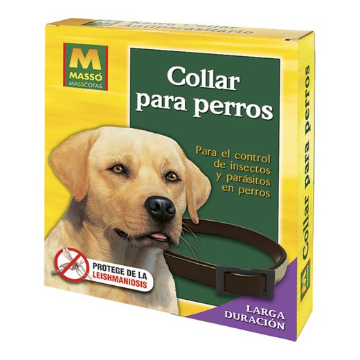 Collar antiparasitos para perros