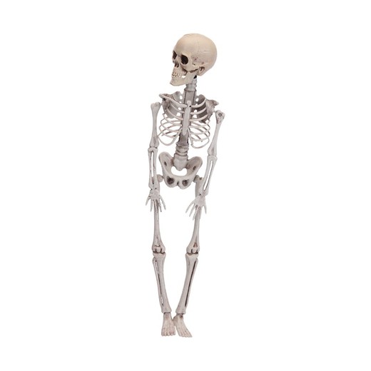 Figurine squelette Halloween 42cm