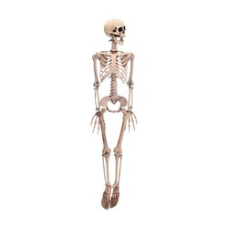 Figura esqueleto halloween 90cm