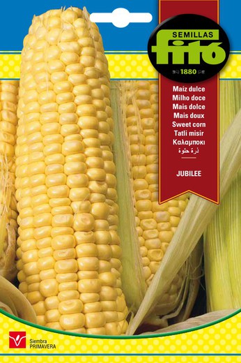 Sementes de milho doce Jubilee da marca Fito