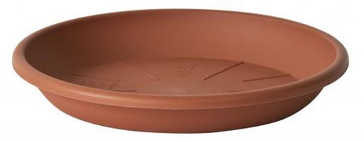 Medea Plato 14 Cm