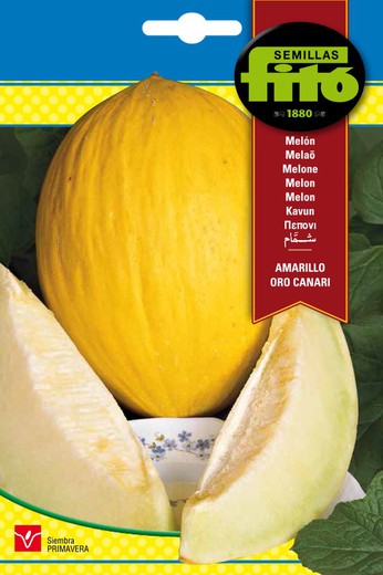 Canary Yellow Melon Seeds de la marque Fito