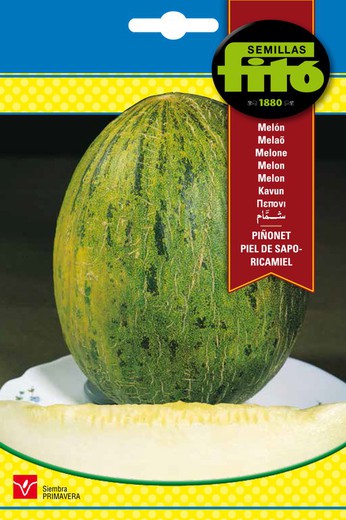 Graines de Melon Piñonet Piel de Sapo - Ricamiel de la marque Fito