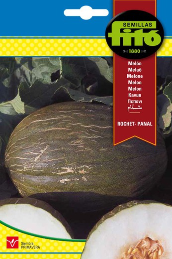 Rochet Meon Seeds - Nid d'abeille de la marque Fito