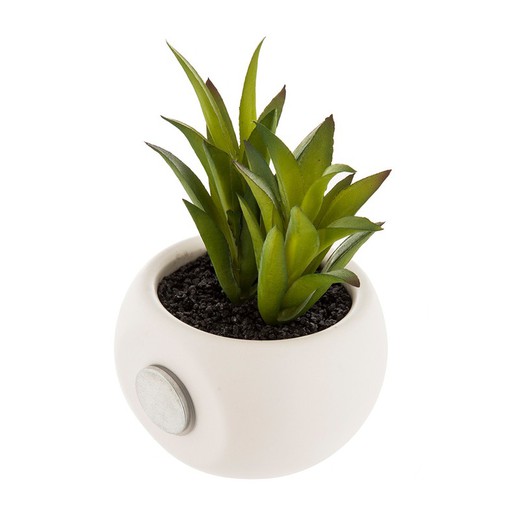 Mini plantas decorativas com ímã diversos modelos de 6cm