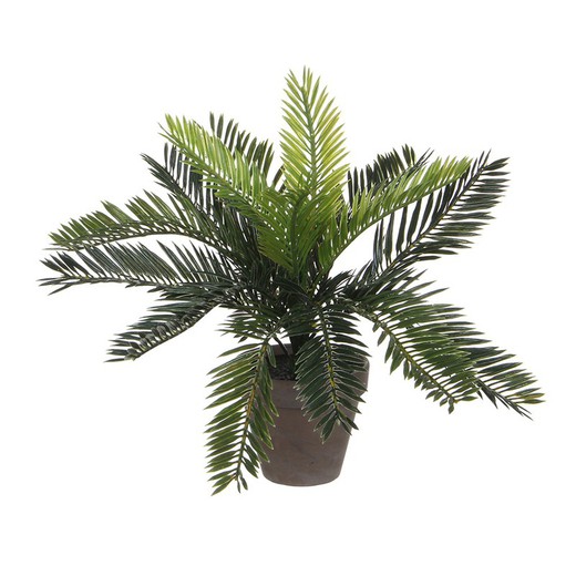 Palmeira sagu (cyca revoluta) em pvc com vaso cinza 33x11,5cm