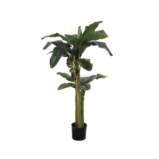 Planta Artificial Bananera-Musa Ø115cmx1,80m