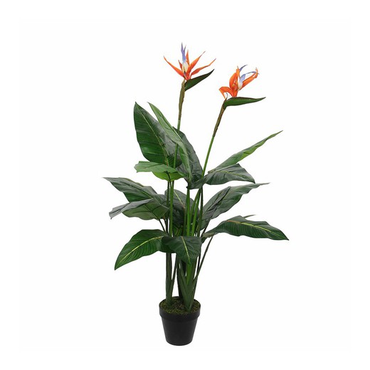 Planta Artificial Strelitzia - Bird Of Paradise Ø60 cm x 1,10 m