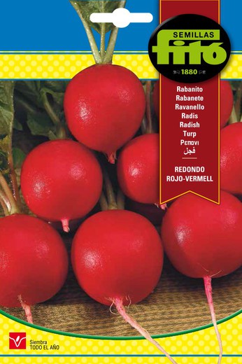 Sementes de rabanete redondo vermelho - Vermell da marca Fito