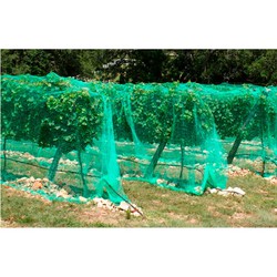 Filet anti-oiseaux 4x5mts idéal arbres fruitiers