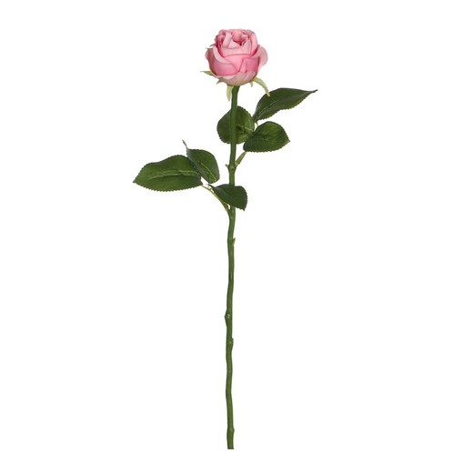 Rosa rosa 45cm