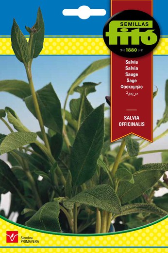 Semillas de Salvia Officinalis de marca Fito