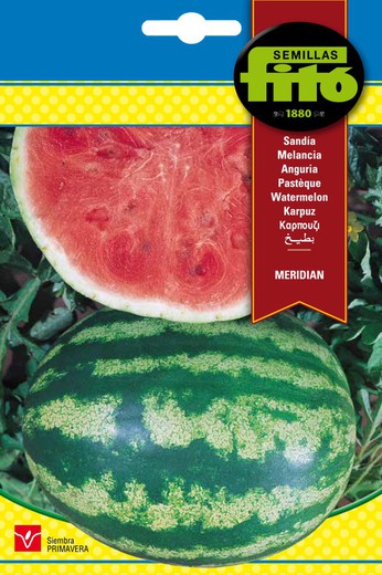 Meridian Watermelon Seeds de la marque Fito