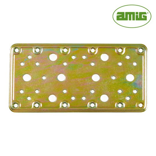 S.of. Placa 503-200x100 acero bicromatado (s) amig