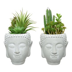 Succulente artificielle sur tête de bouddha modèles assortis