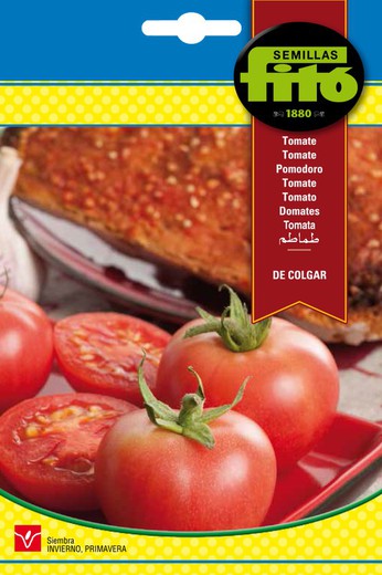 Semillas de Tomate de Colgar de marca Fito