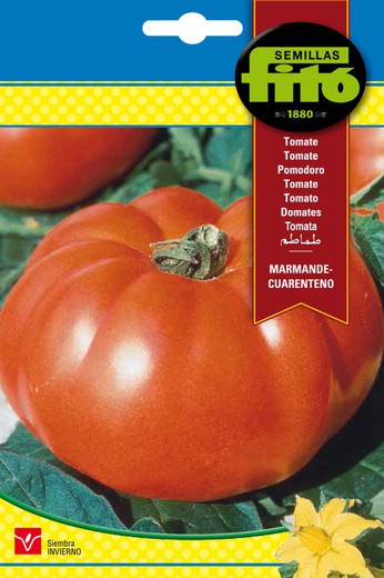 Graines de Tomate Marmande - Quarantaine de la marque Fito