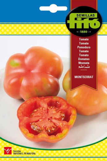 Montserrat Tomato Seeds da marca Fito