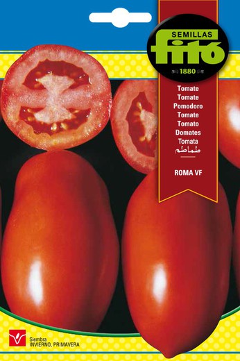 Graines de tomates Roma VF de la marque Fito