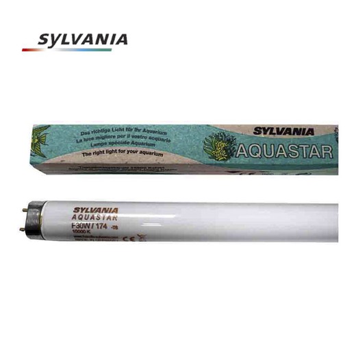 Tube fluorescent 15w t-8 (aquastar) spécial aquariums sylvania