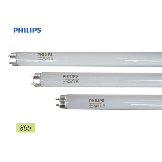 Tubo fluorescente 18w trifosforo 865k modelo: t8 luz fria. Philips