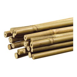 Tuteur Bambou pour Plantes 1,1x120cm