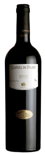 Vin Castell de Falset Magnum