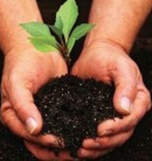 Fertilizantes / Fertilizantes