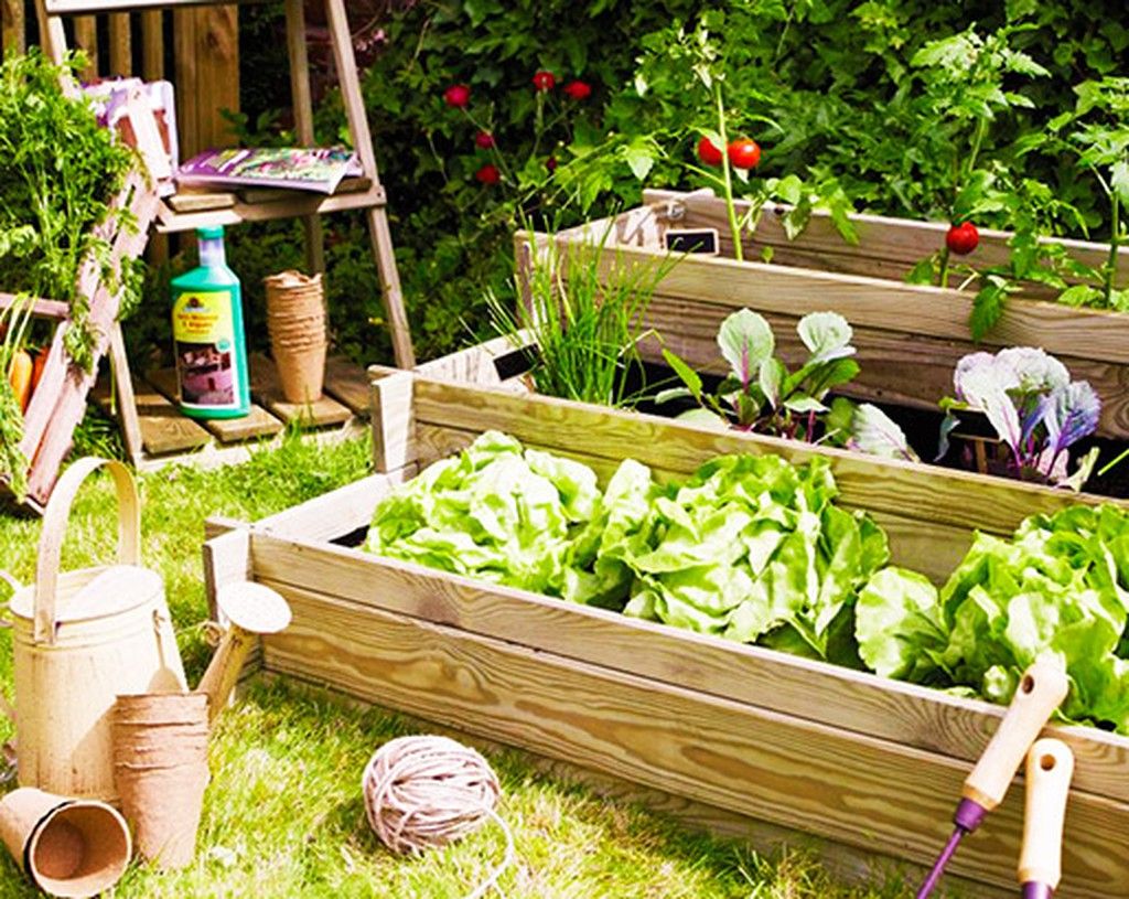 Huerto Urbano — Gardenshop