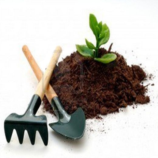 Maquinário / Ferramentas