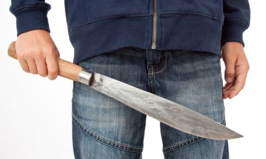 Couteaux / Machettes / Faucilles