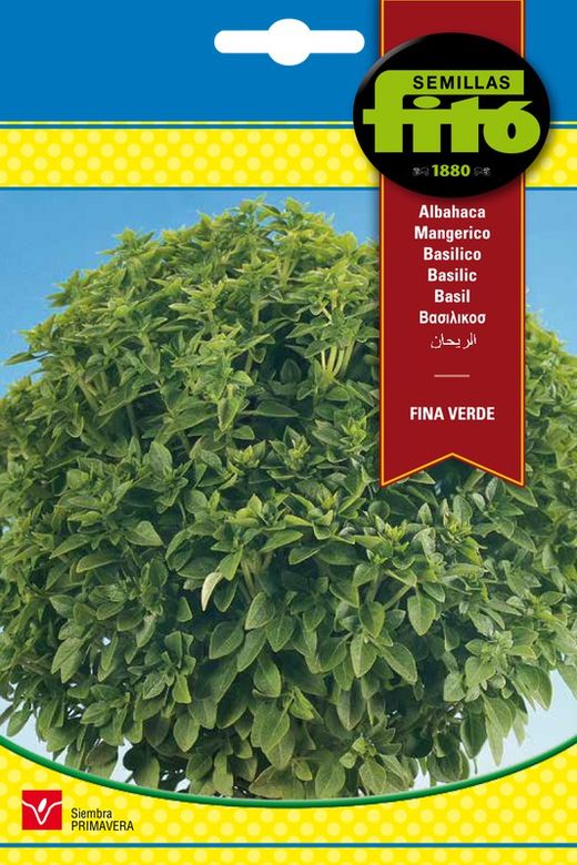 Graines de basilic vert de marque Fito
