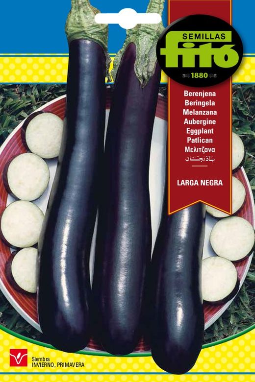 Sementes de berinjela pretas longas da marca Fito