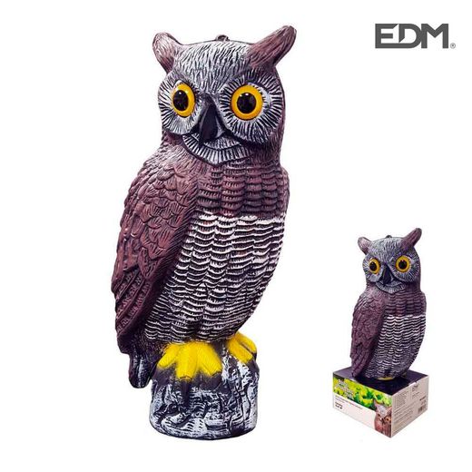 Hibou chasse les oiseaux