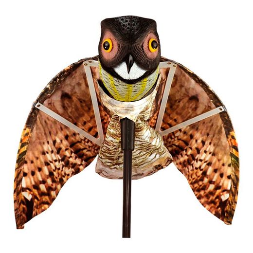 Hibou avec des ailes 65x80cm