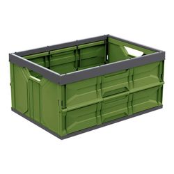 Caixa Dobrável 45lt 54x37,5x28cm Cores Sortidas Mondex