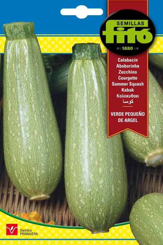 Semillas de Calabacín Verde Pequeño de Argel de marca Fito