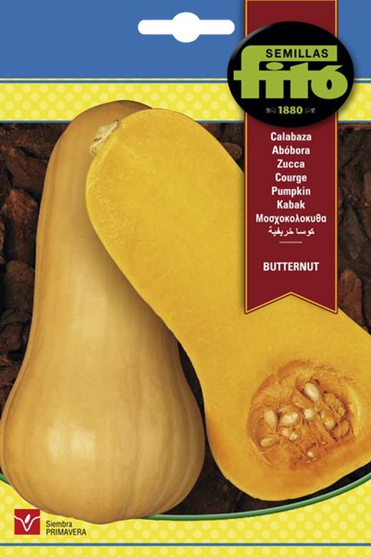 Butternut Squash Seeds da marca Fito