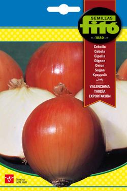 Semillas de Cebolla Valenciana Tardía Exportación de marca Fito